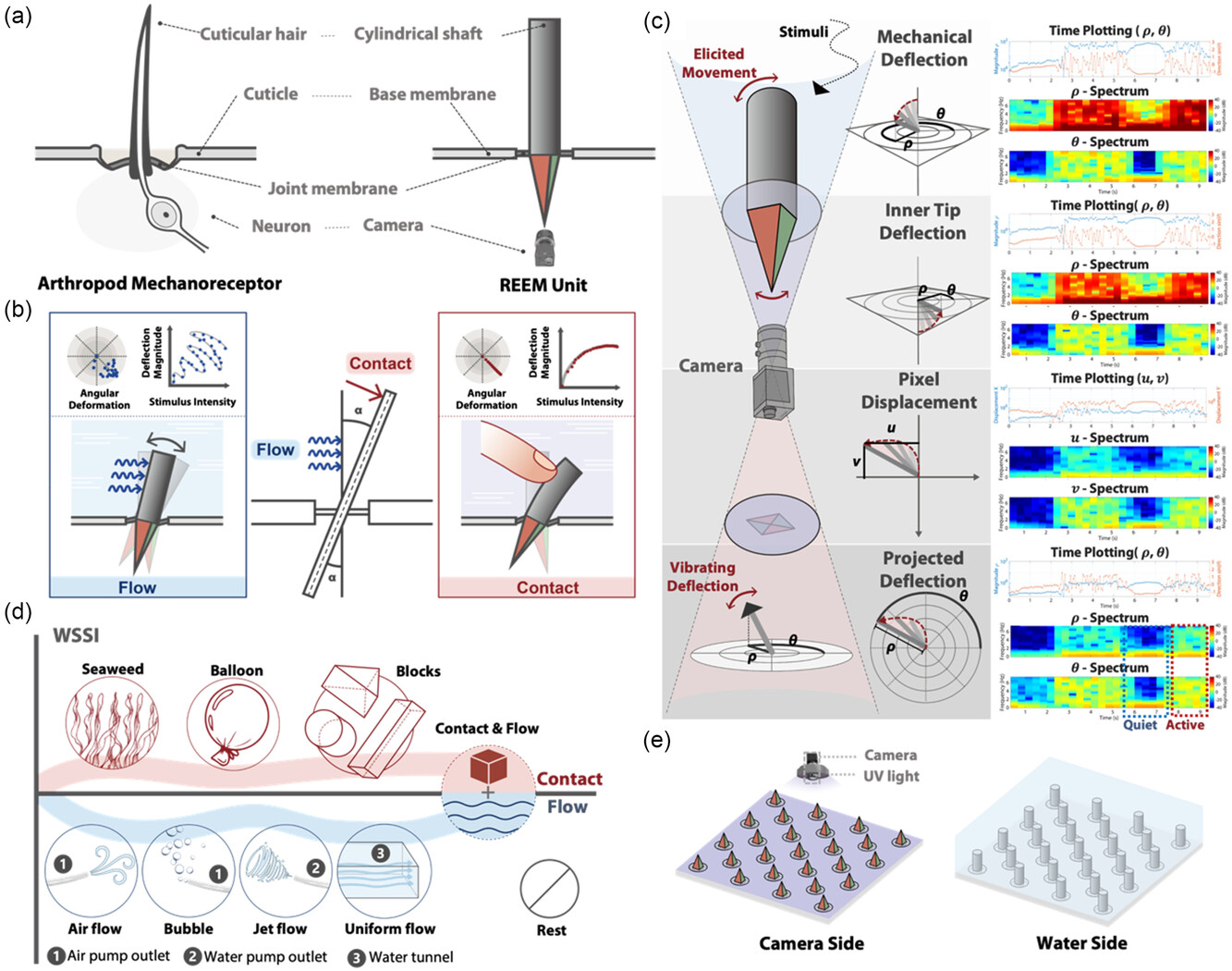 学术论文 | Dynamics-Oriented Underwater Mechanoreception Interface for Simultaneous Flow and Contact Perception